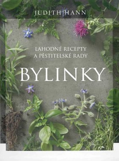 Bylinky - Lahodné recepty a pěstitelné rady - Hann Judith