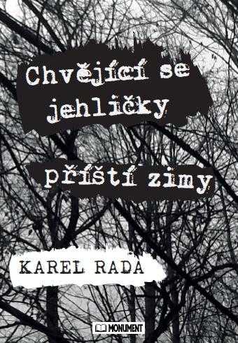 Chvějící se jehličky příští zimy - Rada Karel