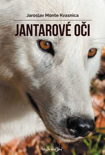 Jantarové oči - Kvasnica Jaroslav Monte