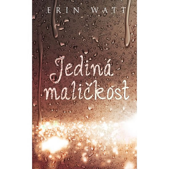 Jediná maličkost - Watt Erin