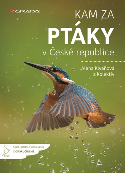 Kam za ptáky v České republice - Klvaňová Alena a kolektiv