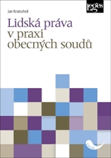 Lidská práva v praxi obecných soudů - Kratochvíl Jan