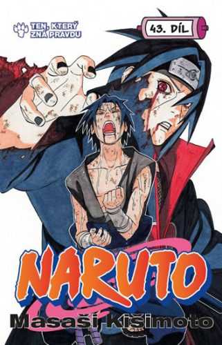 Naruto 43 - Muž