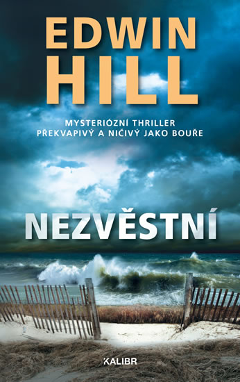 Nezvěstní - Hill Edwin