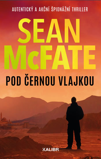 Pod černou vlajkou - McFate Sean