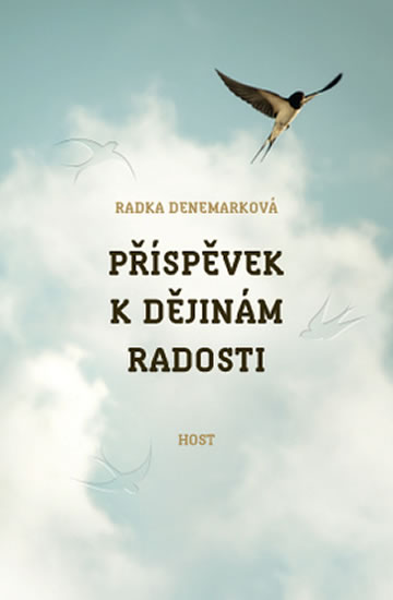 Příspěvek k dějinám radosti - Denemarková Radka - 14x20