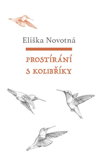 Prostírání s kolibříky - Novotná Eliška