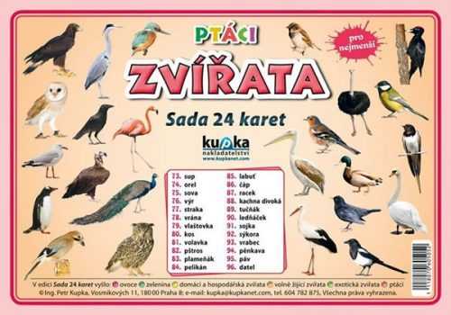 Ptáci zvířata - Sada 24 karet - Kupka Petr a kolektiv - 14