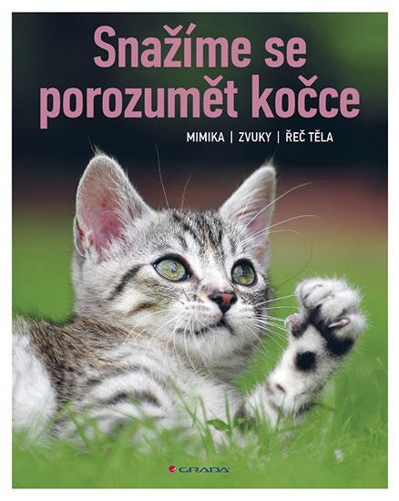 Snažíme se porozumět kočce - Mimika