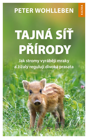 Tajná síť přírody - Jak stromy vyrábějí mraky a žížaly regulují divoká prasata - Wohlleben Peter