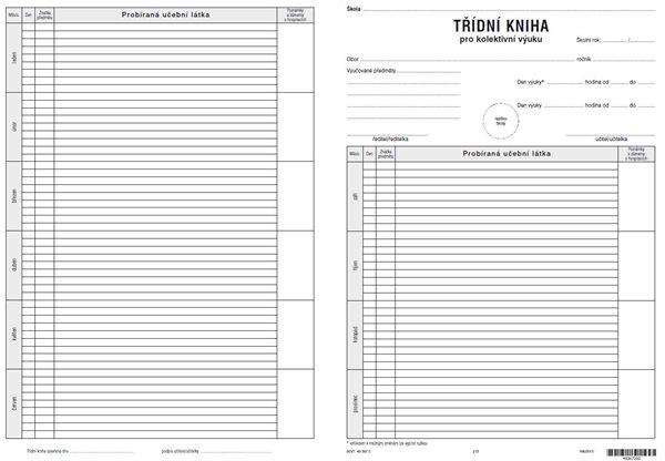 Třídní kniha pro kolektivní výuku ZUŠ - ŠVP - novinka 2013 - dvoulist A4