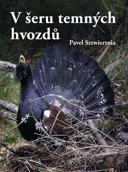 V šeru temných hvozdů - Sztwiertnia Pavel