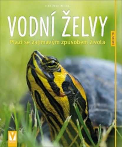 Vodní želvy - Jak na to - Wilke Hartmut