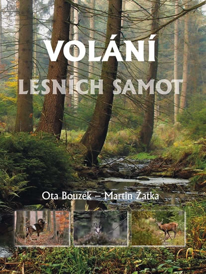 Volání lesních samot - Bouzek Ota