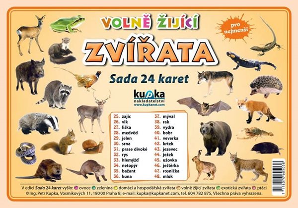 Volně žijící zvířata - Sada 24 karet - Kupka Petr a kolektiv - 14