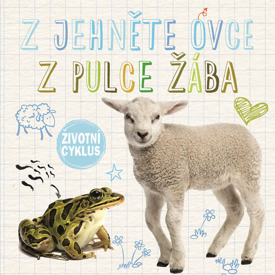 Z jehněte ovce