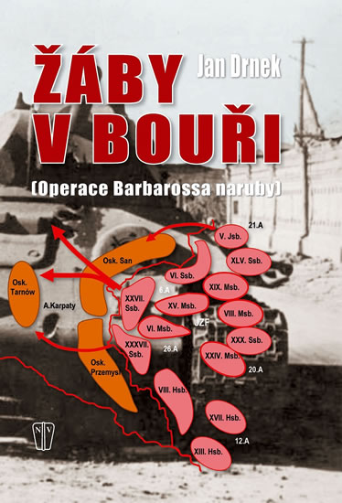 Žáby v bouři - Operace Barbarossa naruby - Drnek Jan - 17