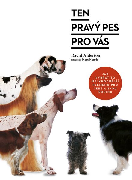 Ten pravý pes pro vás - Alderton David