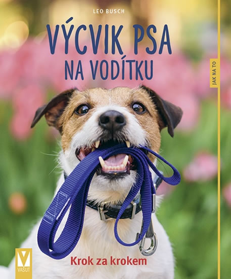 Výcvik psa na vodítku - Jak na to - Busch Leo