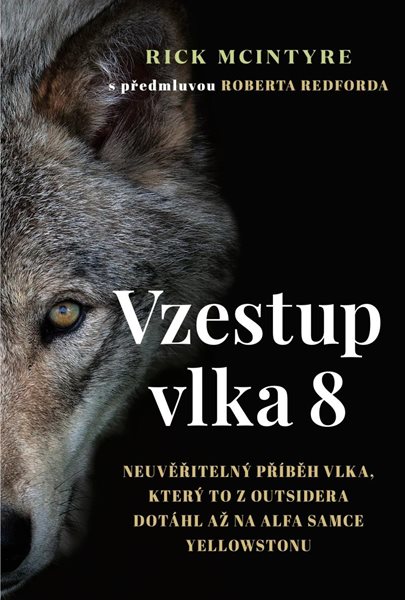 Vzestup vlka 8 - Neuvěřitelný příběh vlka