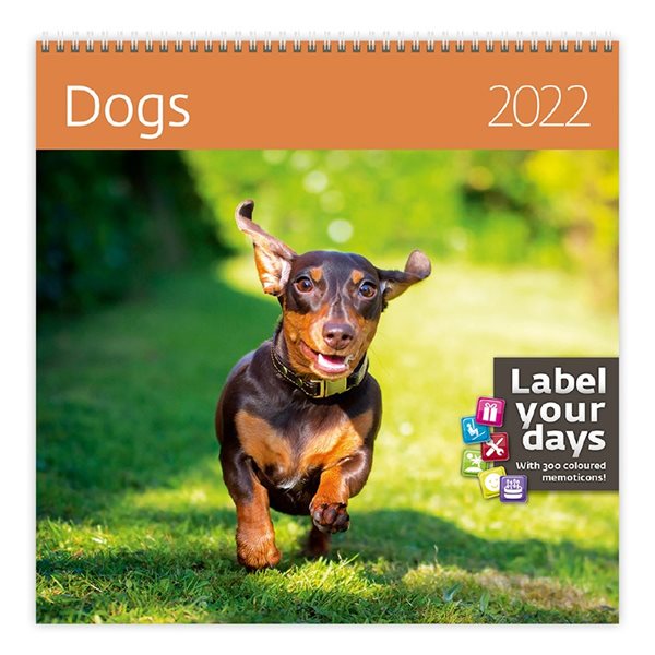 Kalendář nástěnný 2022 Label your days - Dogs - 30x30 cm