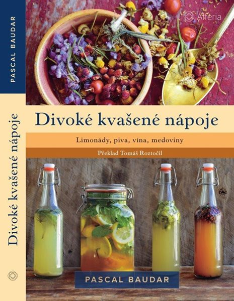 Divoké kvašené nápoje - Limonády