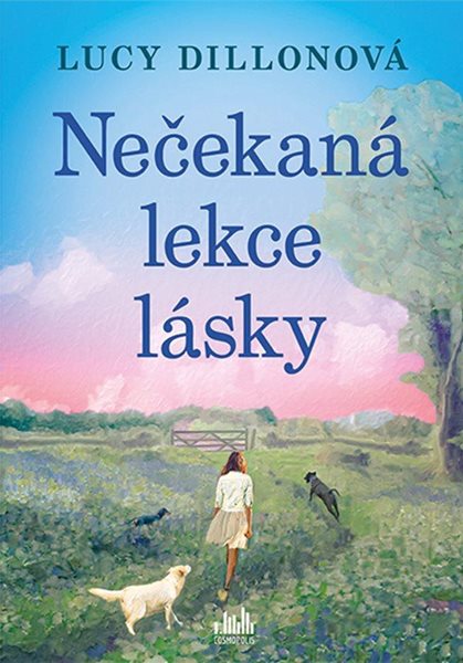 Nečekaná lekce lásky - Dillonová Lucy