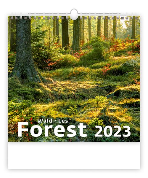 Kalendář nástěnný 2023 - Forest/Wald/Les - 34x32