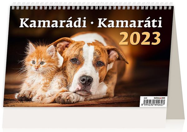 Kalendář stolní 2023 - Kamarádi/Kamaráti - 22