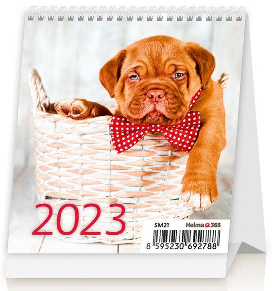 Kalendář stolní 2023 - Mini Puppies - 9