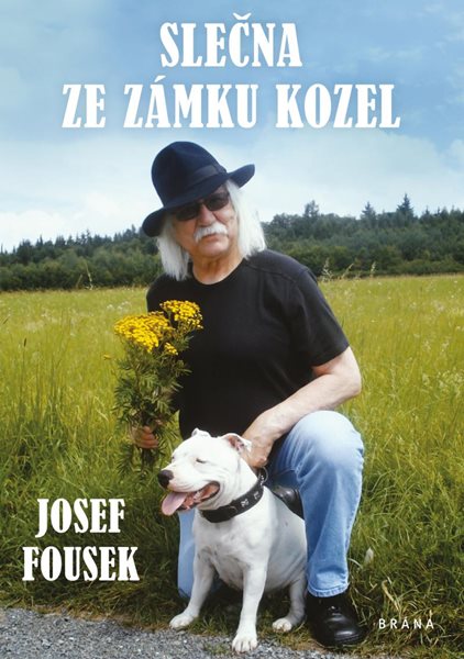 Slečna ze zámku Kozel - Fousek Josef