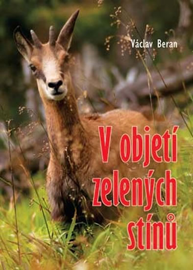 V objetí zelených stínů - Beran Václav - 13