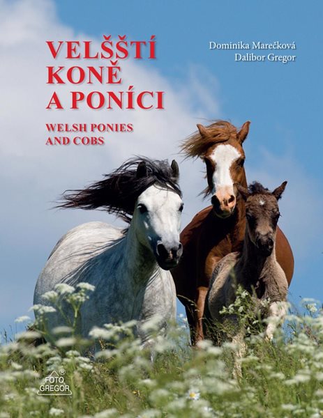 Velšští koně a poníci / Welsh Ponies and Cobs - Marečková Dominika