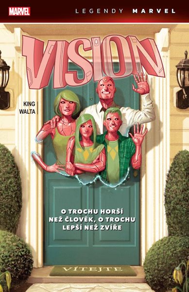 Vision: O trochu horší než člověk