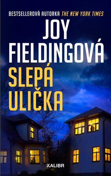 Slepá ulička - Fieldingová Joy