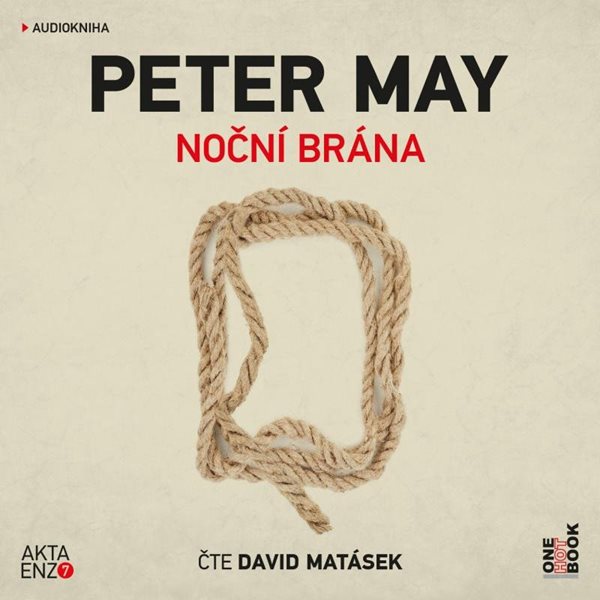 Noční brána - 2 CDmp3 (Čte David Matásek) - May Peter