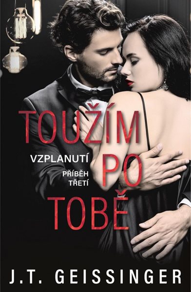 Toužím po tobě - Geissinger T. J.