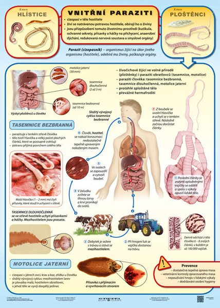 Vnitřní paraziti - tabulka A4
