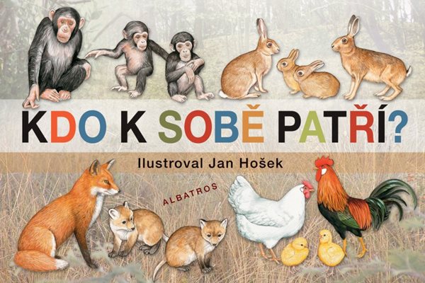 Kdo k sobě patří? - Jan Hošek