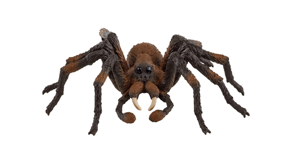 Schleich 13987 Harry Potter - Aragog