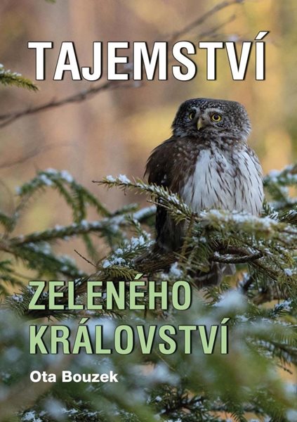 Tajemství zeleného království - Bouzek Ota