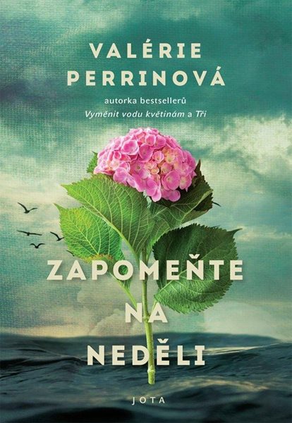 Zapomeňte na neděli - Perrinová Valérie