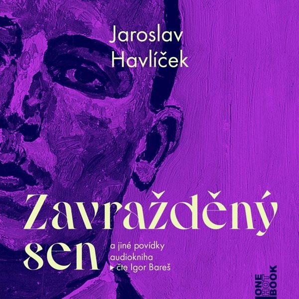 Zavražděný sen a jiné povídky - CDmp3 (Čte Igor Bareš) - Havlíček Jaroslav