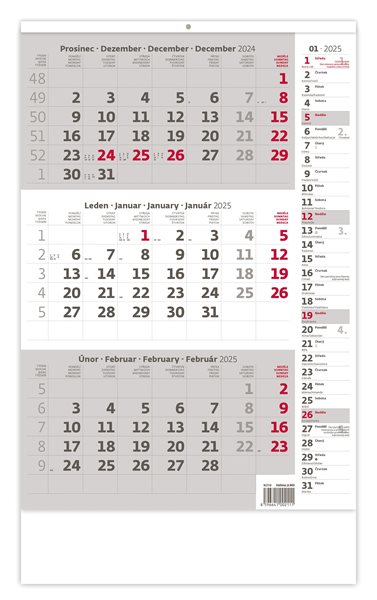 Kalendář nástěnný 2025 - Tříměsíční šedý s poznámkami - 31