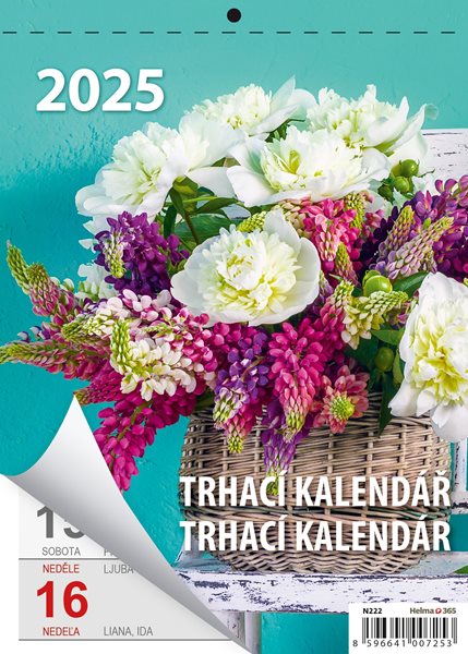 Kalendář nástěnný 2025 - Týdenní trhací A5