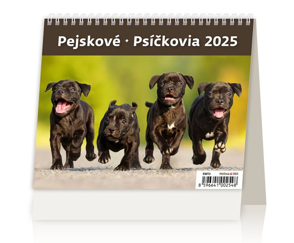 Kalendář stolní 2025 - MiniMax Pejskové/Psíčkovia - 17