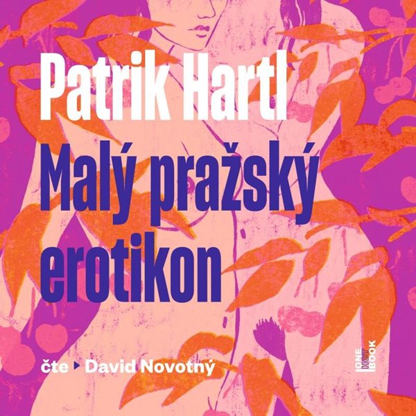 Malý pražský erotikon - CDmp3 (Čte David Novotný) - Hartl Patrik