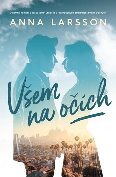 Všem na očích - Larsson Anna