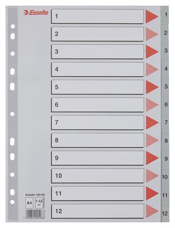 Rozdružovač Esselte A4 12 listů