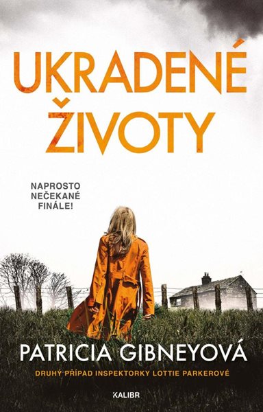 Ukradené životy - Gibneyová Patricia